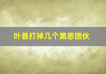 叶县打掉几个黑恶团伙