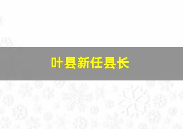 叶县新任县长