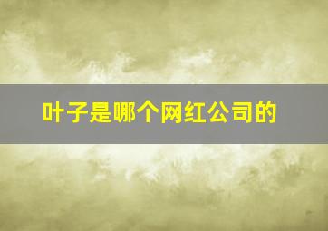 叶子是哪个网红公司的