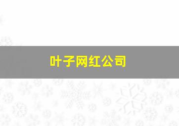 叶子网红公司