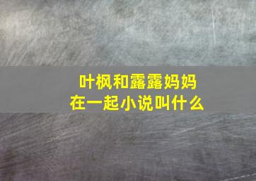 叶枫和露露妈妈在一起小说叫什么