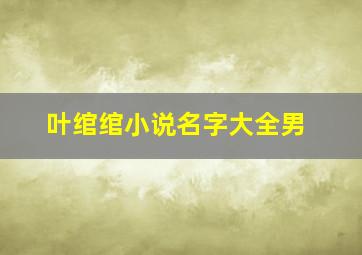 叶绾绾小说名字大全男