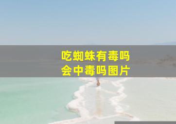 吃蜘蛛有毒吗会中毒吗图片