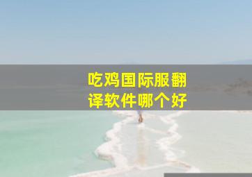 吃鸡国际服翻译软件哪个好