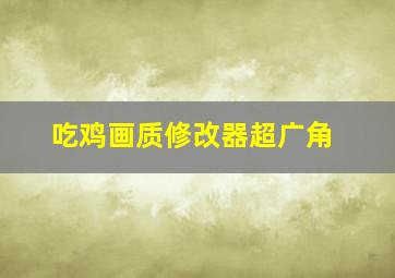 吃鸡画质修改器超广角