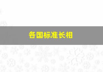 各国标准长相