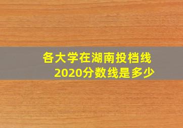 各大学在湖南投档线2020分数线是多少