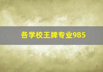 各学校王牌专业985