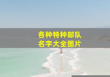 各种特种部队名字大全图片