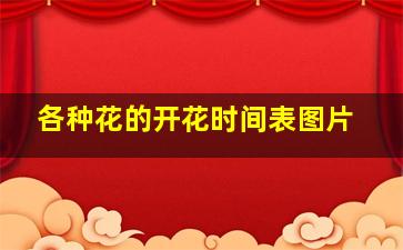 各种花的开花时间表图片