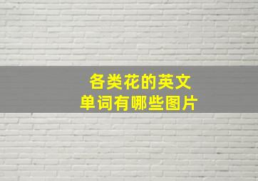 各类花的英文单词有哪些图片