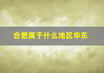 合肥属于什么地区华东