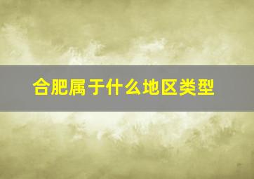 合肥属于什么地区类型