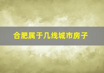 合肥属于几线城市房子