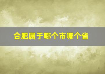 合肥属于哪个市哪个省