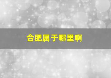 合肥属于哪里啊