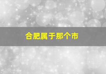 合肥属于那个市