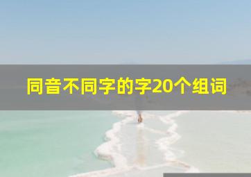 同音不同字的字20个组词