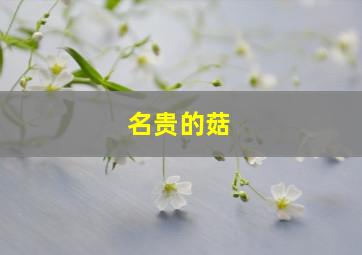 名贵的菇