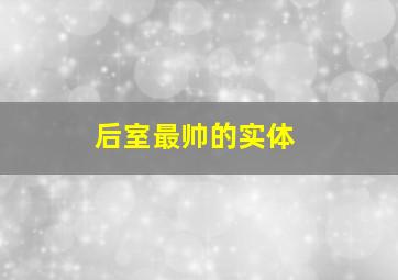 后室最帅的实体