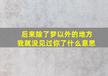 后来除了梦以外的地方我就没见过你了什么意思