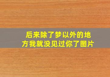 后来除了梦以外的地方我就没见过你了图片