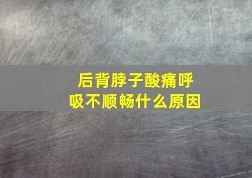 后背脖子酸痛呼吸不顺畅什么原因