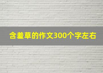 含羞草的作文300个字左右