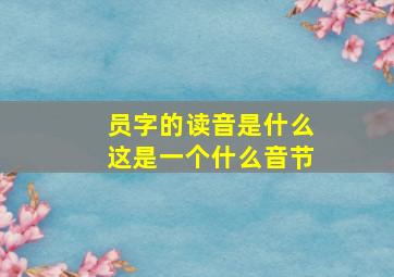 员字的读音是什么这是一个什么音节