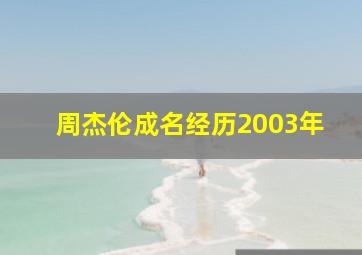 周杰伦成名经历2003年