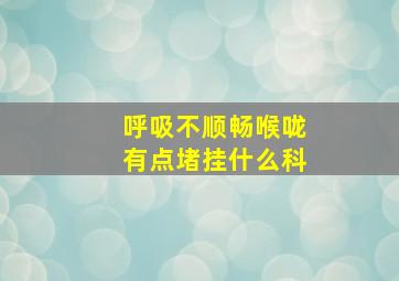 呼吸不顺畅喉咙有点堵挂什么科