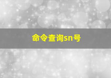 命令查询sn号