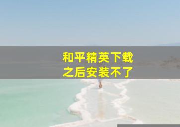 和平精英下载之后安装不了