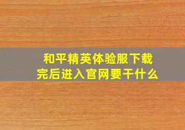 和平精英体验服下载完后进入官网要干什么