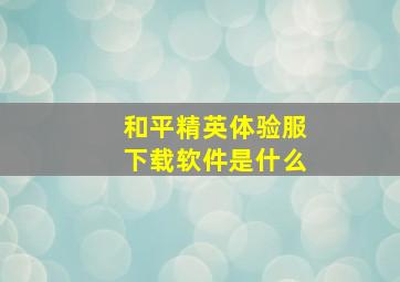 和平精英体验服下载软件是什么