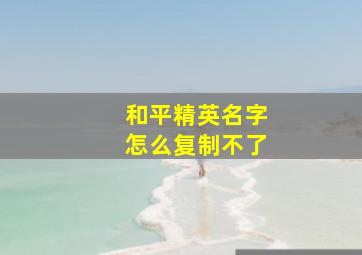 和平精英名字怎么复制不了