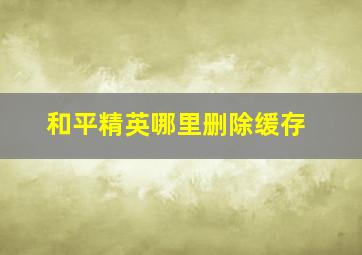 和平精英哪里删除缓存