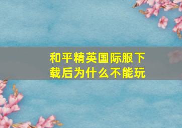 和平精英国际服下载后为什么不能玩