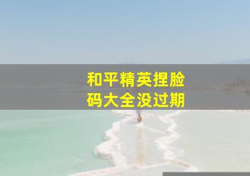 和平精英捏脸码大全没过期