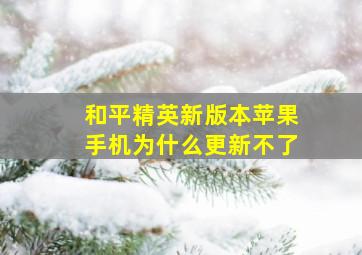 和平精英新版本苹果手机为什么更新不了