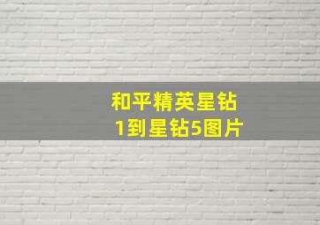 和平精英星钻1到星钻5图片