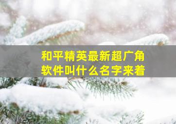 和平精英最新超广角软件叫什么名字来着