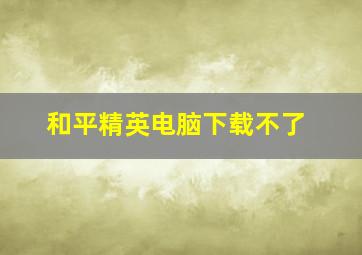 和平精英电脑下载不了