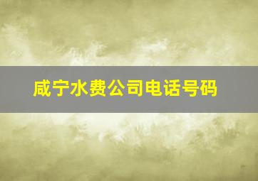 咸宁水费公司电话号码