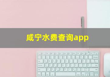 咸宁水费查询app