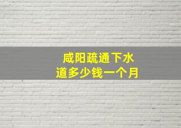 咸阳疏通下水道多少钱一个月