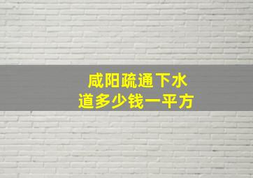 咸阳疏通下水道多少钱一平方