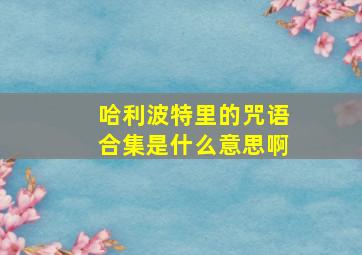 哈利波特里的咒语合集是什么意思啊