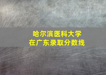 哈尔滨医科大学在广东录取分数线