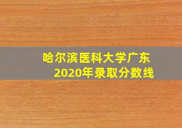 哈尔滨医科大学广东2020年录取分数线